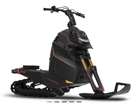2024 WIDESCAPE WS250 Base New  WS250-1853